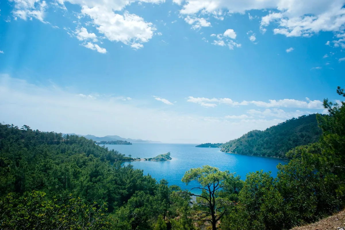 Akdeniz çam ormanı ve doğa manzarası