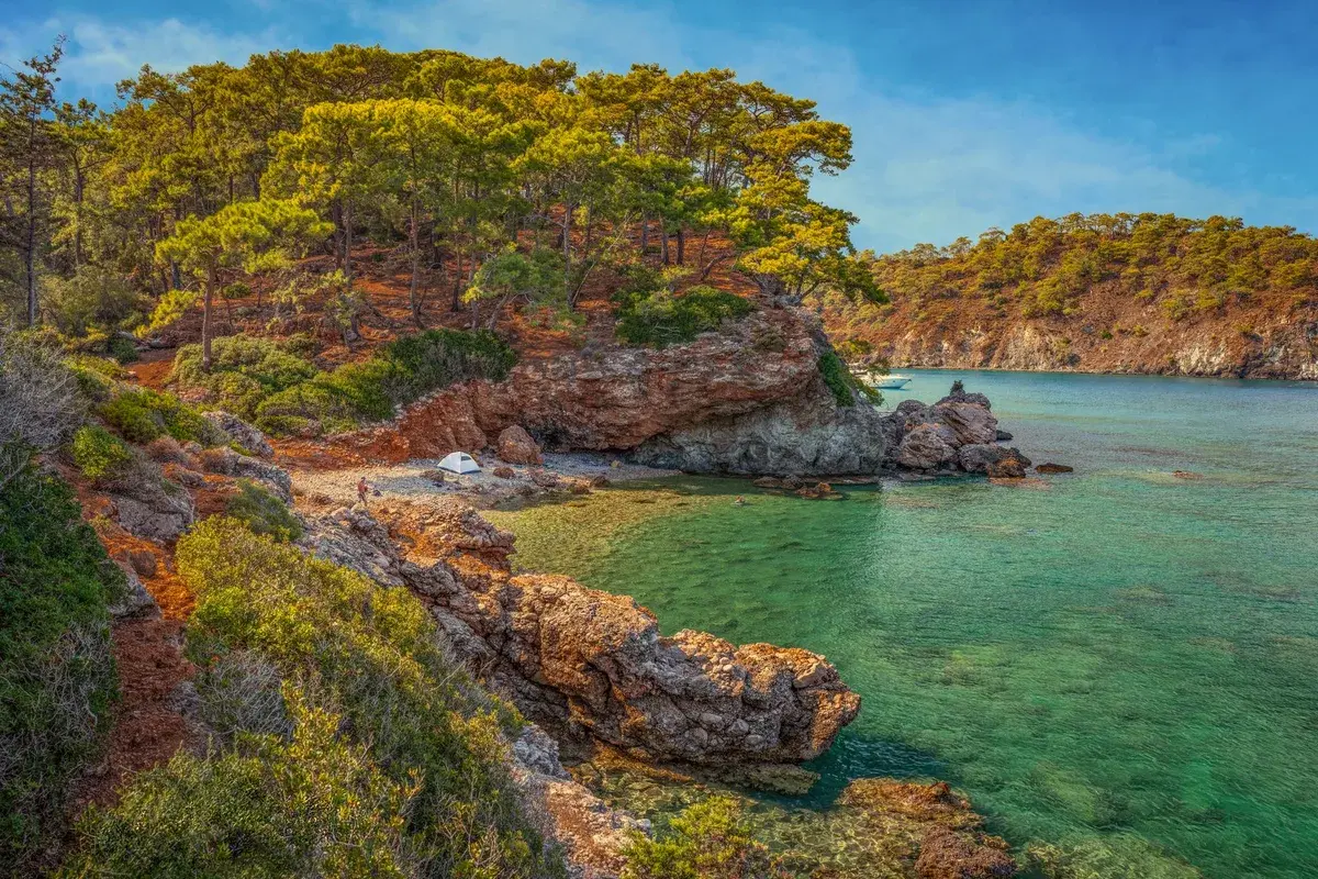 Olympos'ta çam ormanı ve turkuaz koy