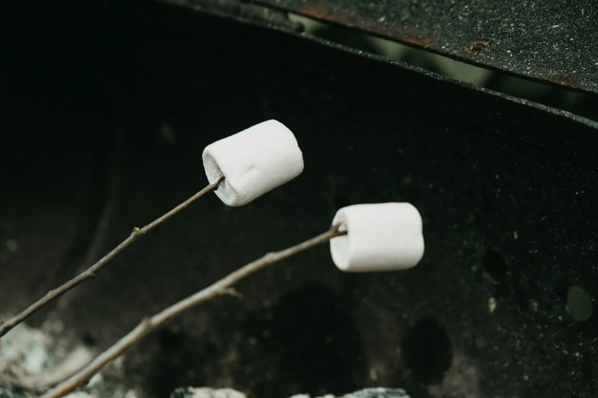 Aile akşam kamp ateşinde marshmallow pişiriyor