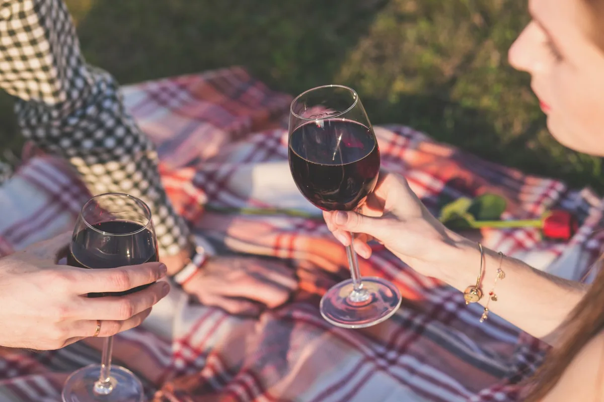 Doğada serilmiş ekose örtü üzerinde iki kadeh ile romantik piknik