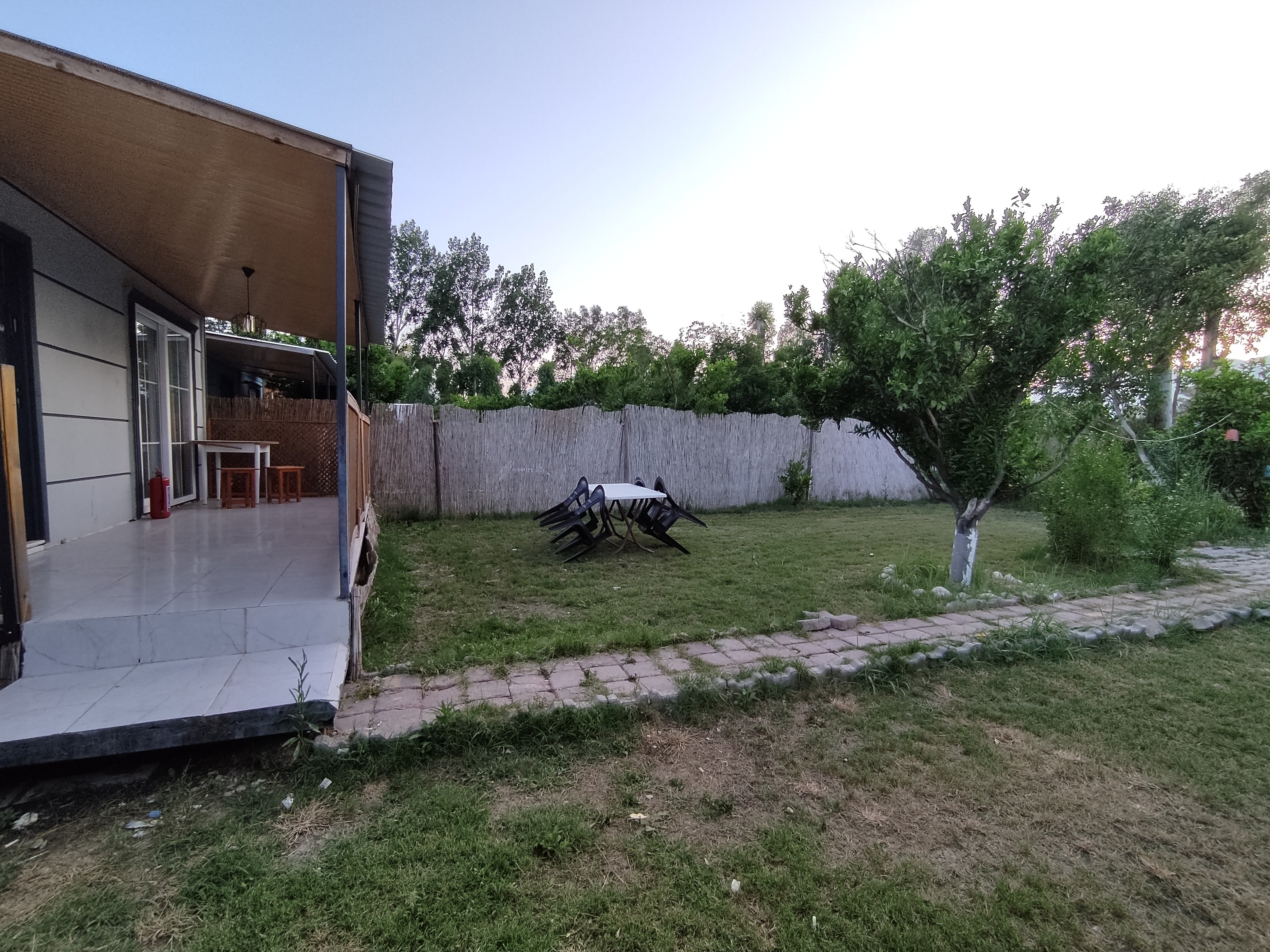 Portakal - Görüntü 3